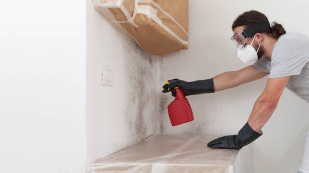 Professional Basement Mold Remediation technician working in White Stone, VA