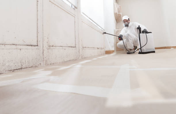 24/7 Emergency Basement Mold Remediation experts in White Stone, VA