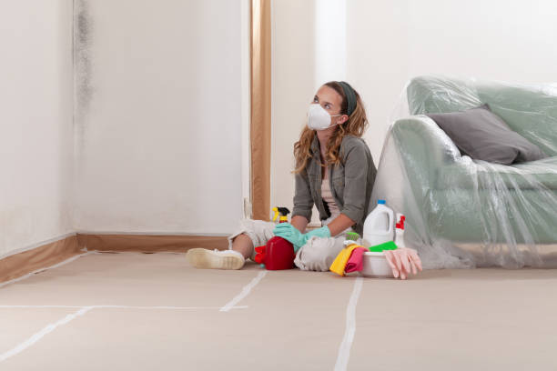 Reliable Basement Mold Remediation contractor in White Stone, VA by WQB Mold Removal